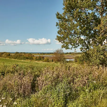 Reetdorf Geltinger Birk Atelierhaus Regenbogen Nieby (Nieby, Schleswig-Flensburg)